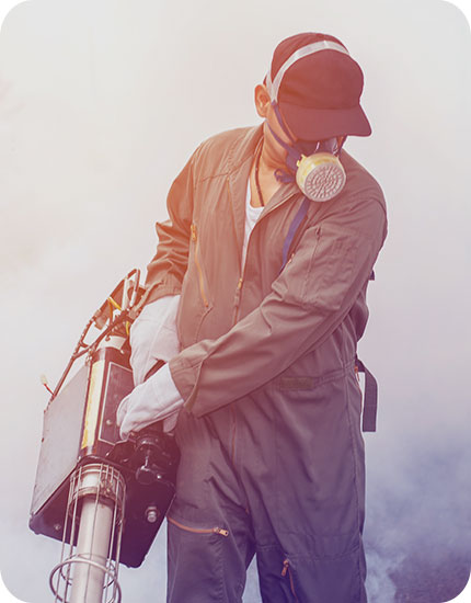 Master Pest Control Experts
